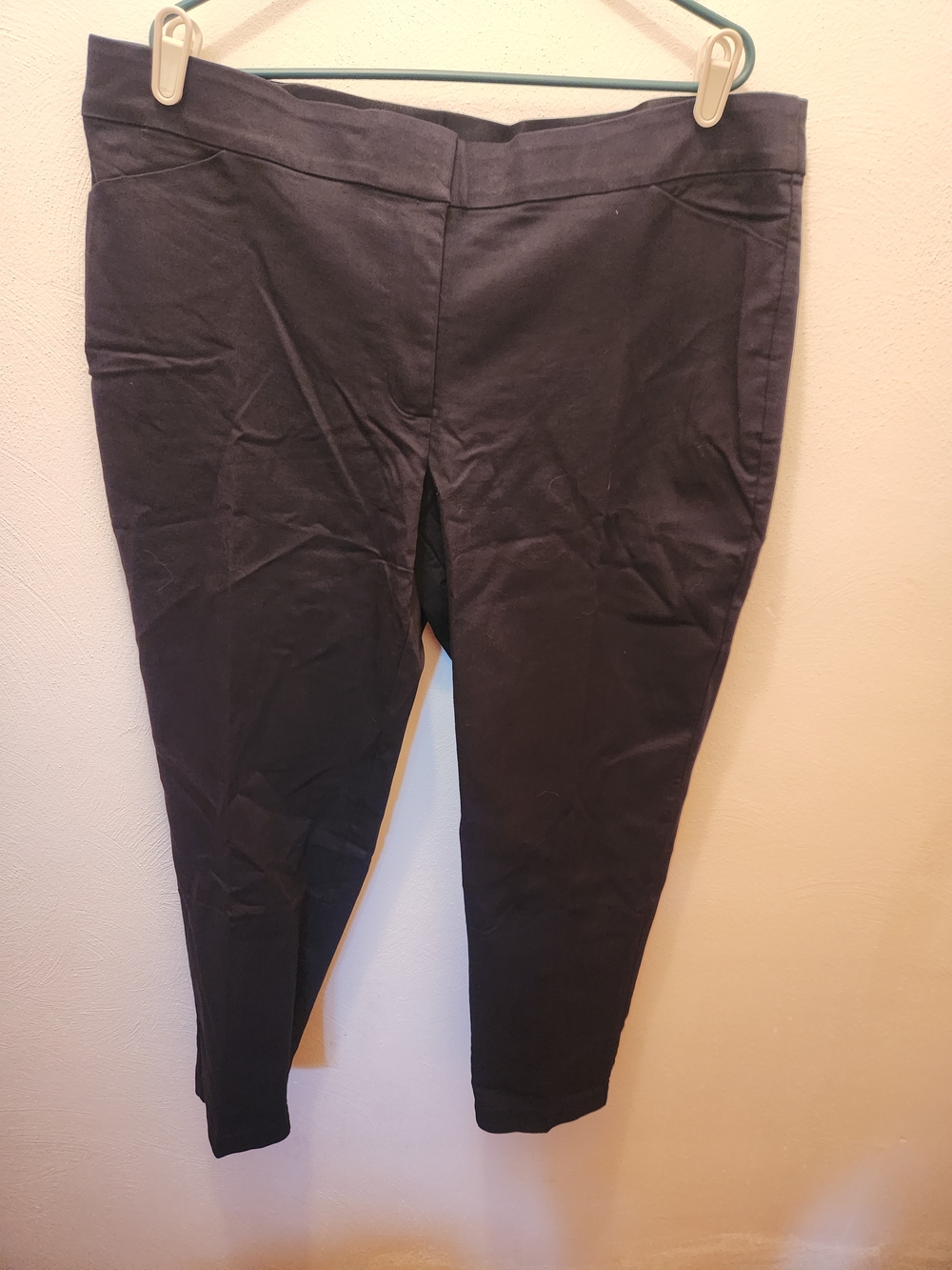 EVRI Black Ankle Pants Size 20W